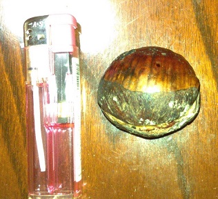 焼ポン