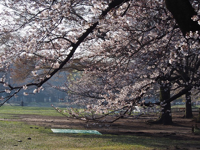 P3290041.jpg