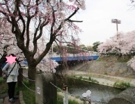 IMG_1100 - コピー.JPG