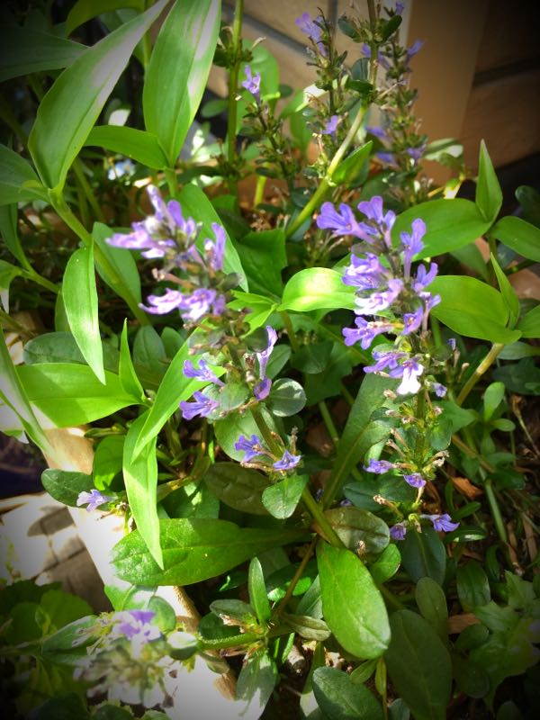 rblog-20150430203418-00.jpg