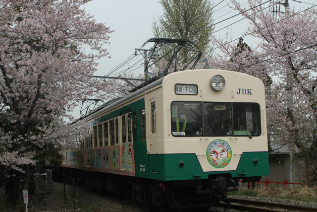 桜と ともに 上信電鉄