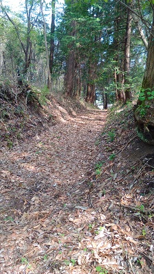 山道２
