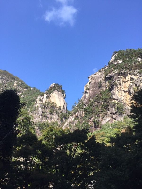 rblog-20181106194534-01.jpg