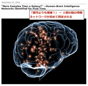 brain-network-top.gif