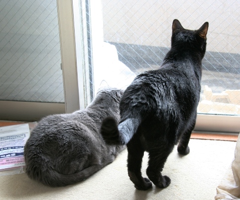 20120428ﾅﾅ_ﾌｰ01.jpg