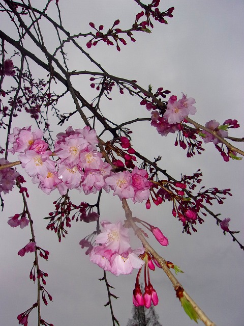 100_3739.jpg