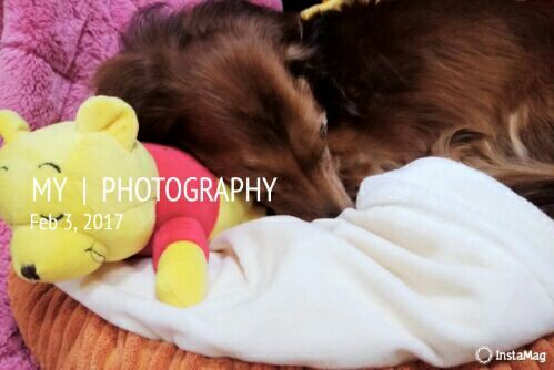 rblog-20170203181051-01.jpg