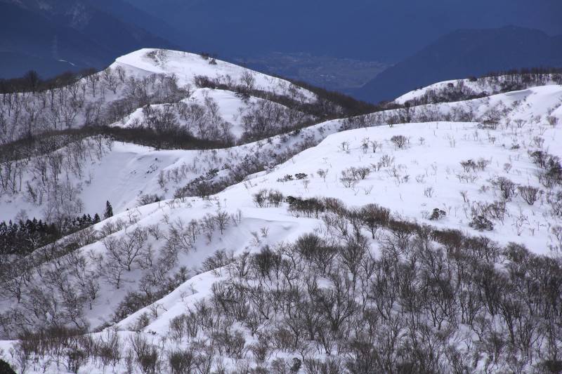 蓬莱山_005.jpg