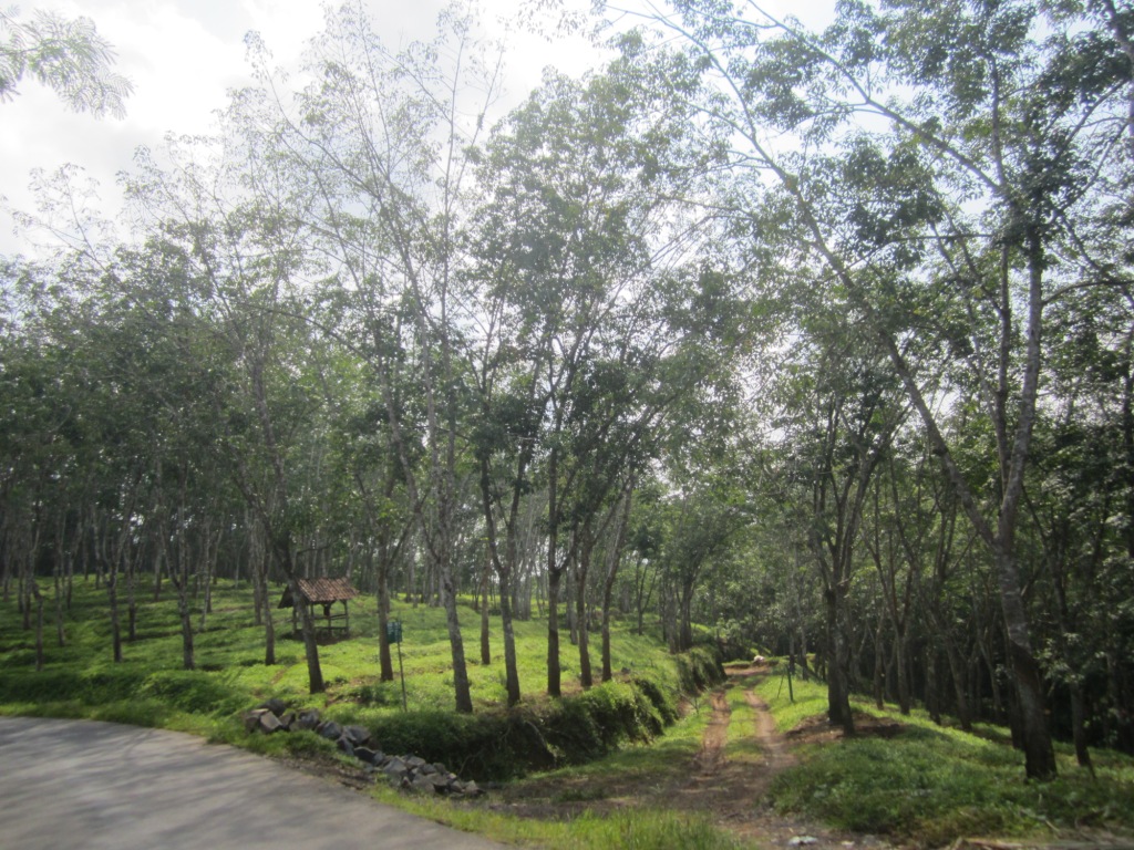 IMG_3571@.jpg