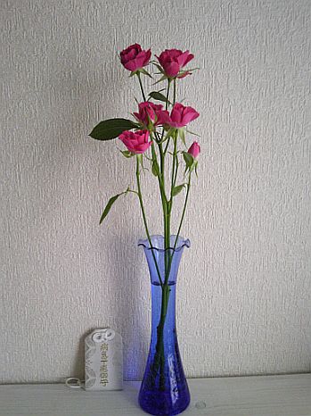 SBSH0005.JPG