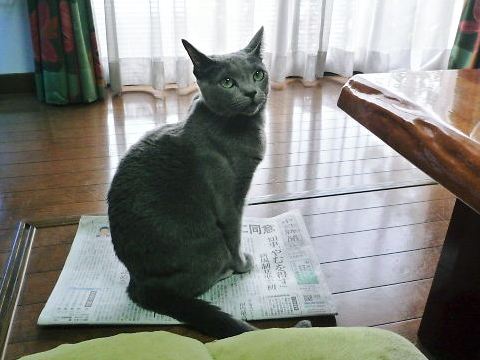 2014年11月08日_P1200938.jpg