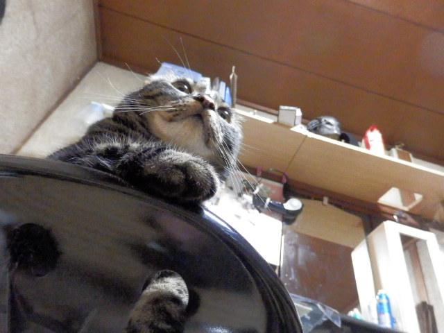P4240100.JPG