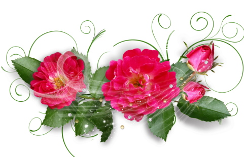 flower1740.jpg