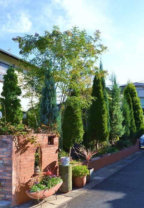 DSC_0542.JPG