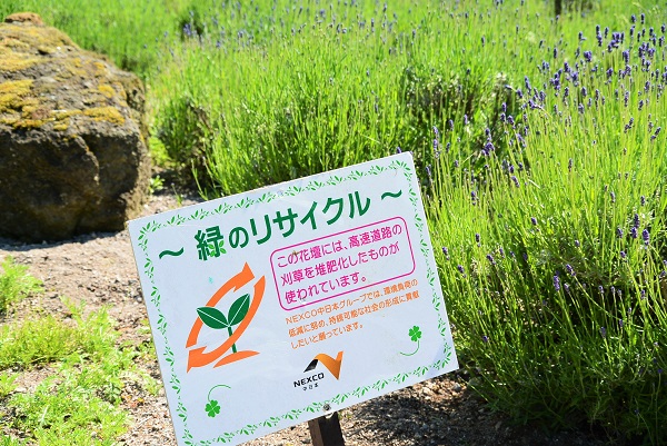 河口湖