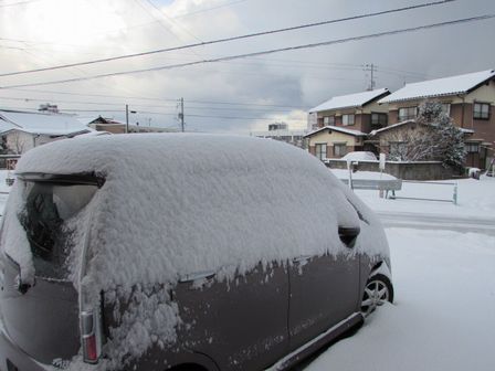 15.02.09雪.JPG