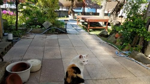 rblog-20180520231416-00.jpg