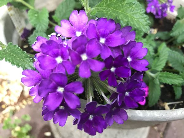 rblog-20180429182853-00.jpg