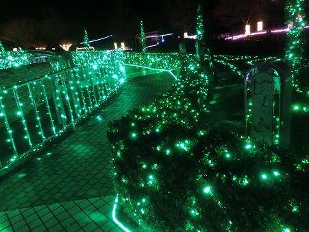 フラワーパーク