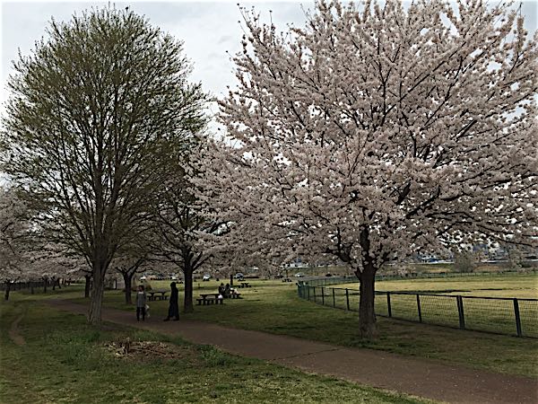 rblog-20150403222235-03.jpg