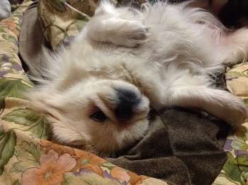 20130307.jpg