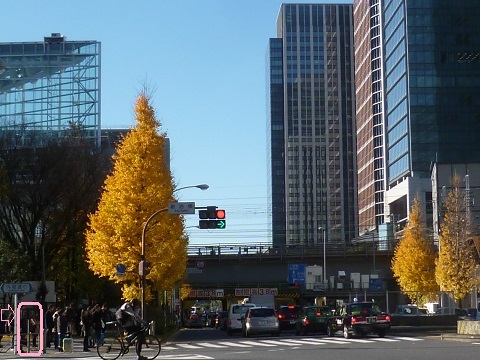 P1270906.JPG