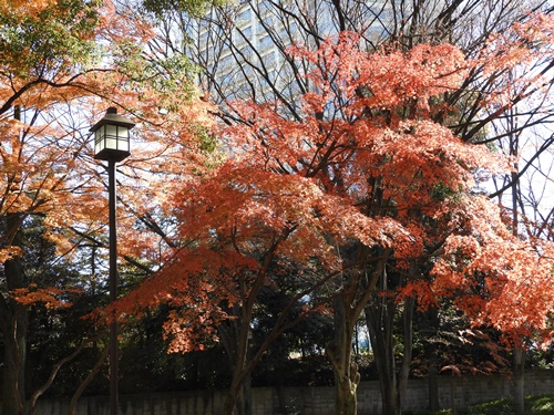 芝公園＆東京タワー