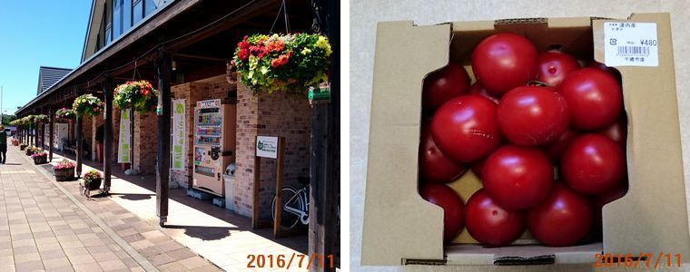 ７／１１花ロードえにわ.jpg
