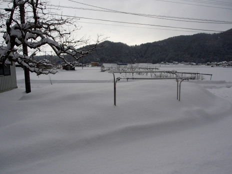 P1270007雪景色.JPG