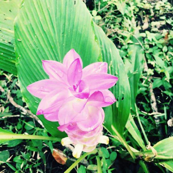 rblog-20180511090315-06.jpg