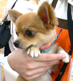 20120728c.jpg