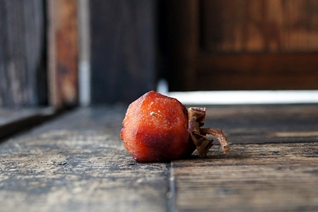 遠野ふるさと村