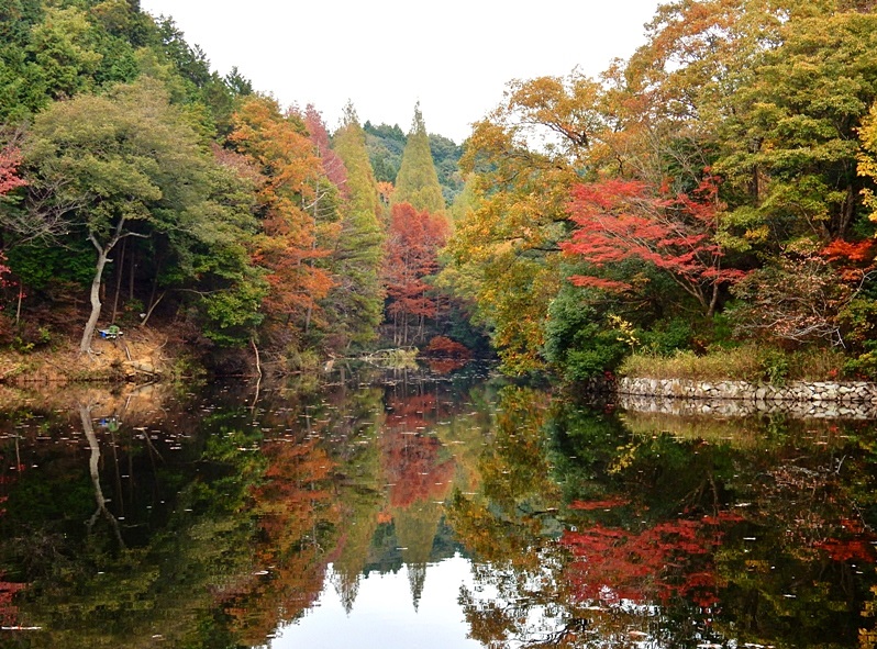 洞川湖30.JPG