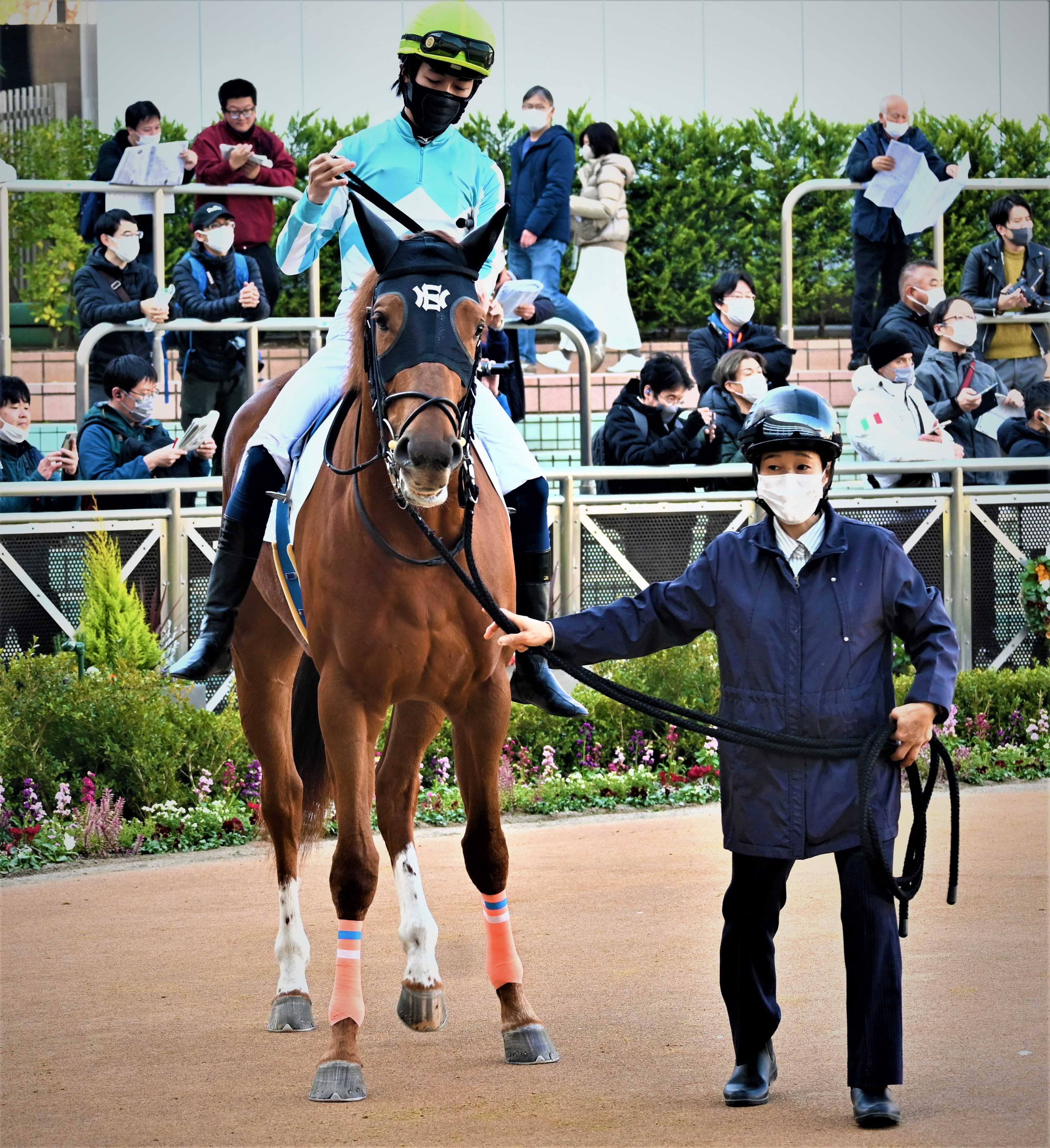 競馬 勝負服 安原浩司-