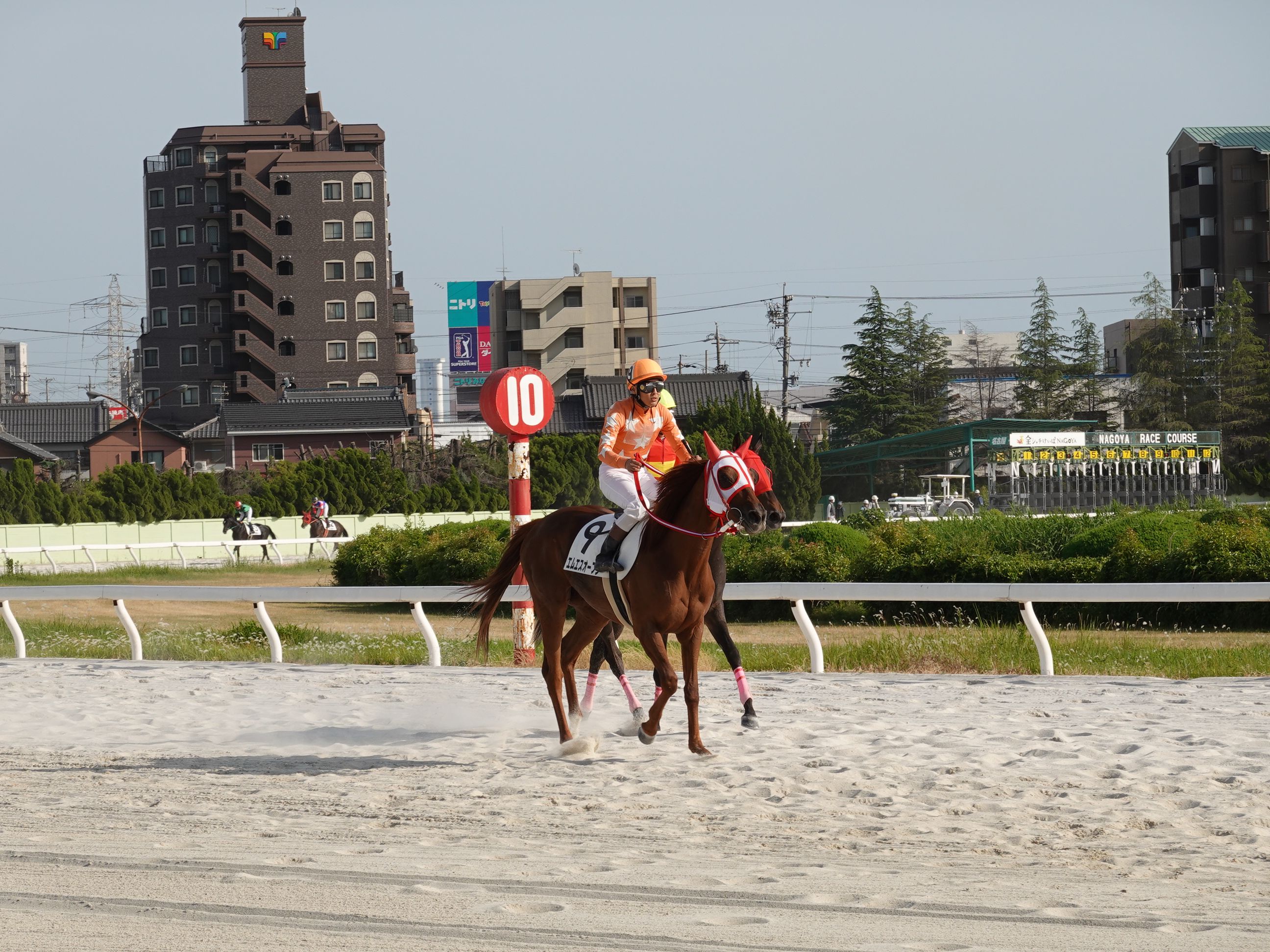 28ページ目の記事一覧 地方競馬の楽天競馬 日替わりライターブログ 楽天ブログ