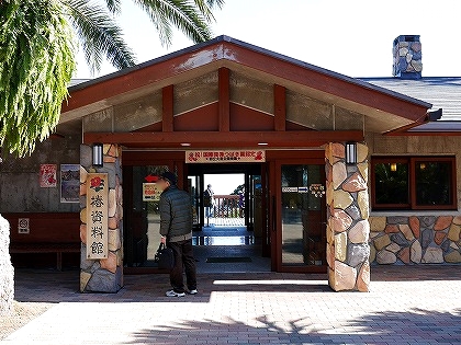 伊豆大島　椿資料館　大島公園　椿まつり