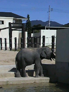 動物園