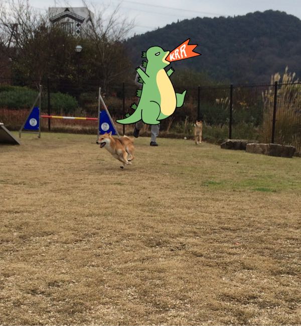 rblog-20161230091940-05.jpg