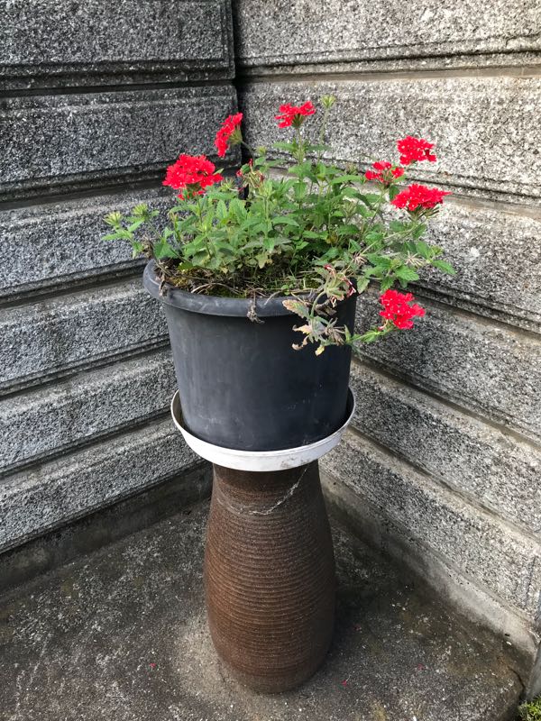 rblog-20180624181444-05.jpg