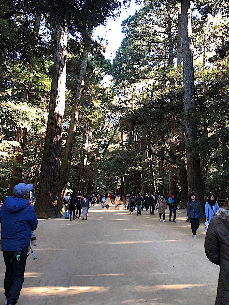 rblog-20190103183509-02.jpg