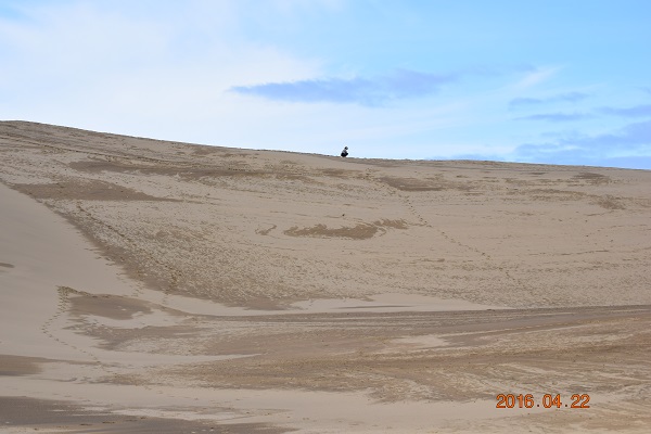 DSC_0116.JPG