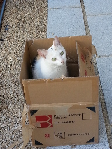 20130629_164557.jpg