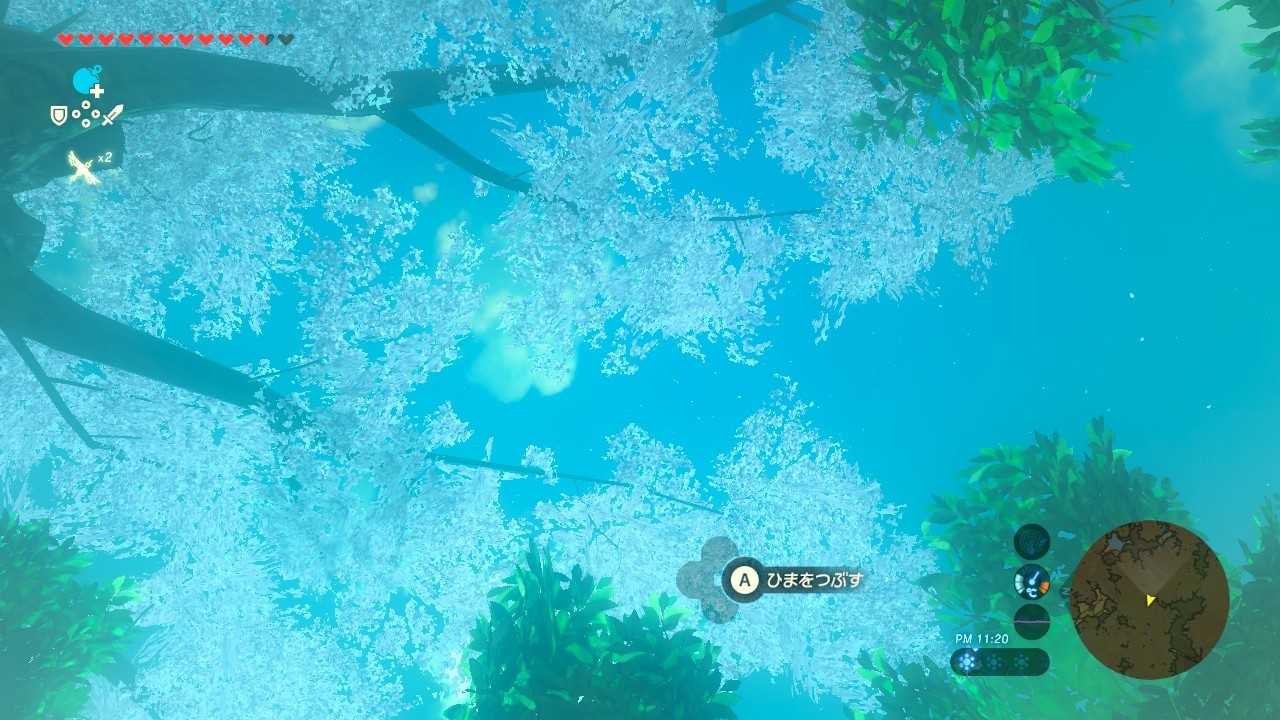 2周目botw 幻の日目 マスターソードを拾ってエアマスターソードをやってみた 笑 ちょっとしたゲーム日記 楽天ブログ