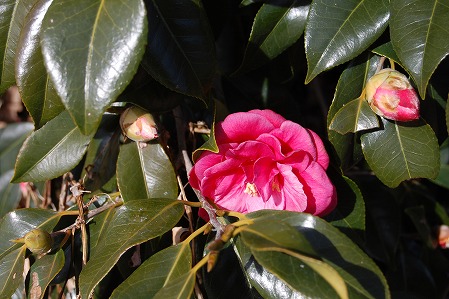 DSC_1169.jpg
