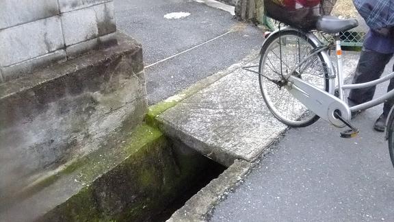 DSCF0006.JPG