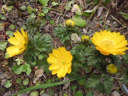 P1020341.JPG