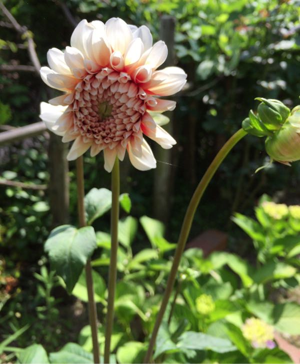 rblog-20170617232810-02.jpg