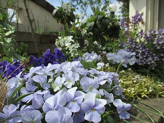 IMG_9632ss.jpg