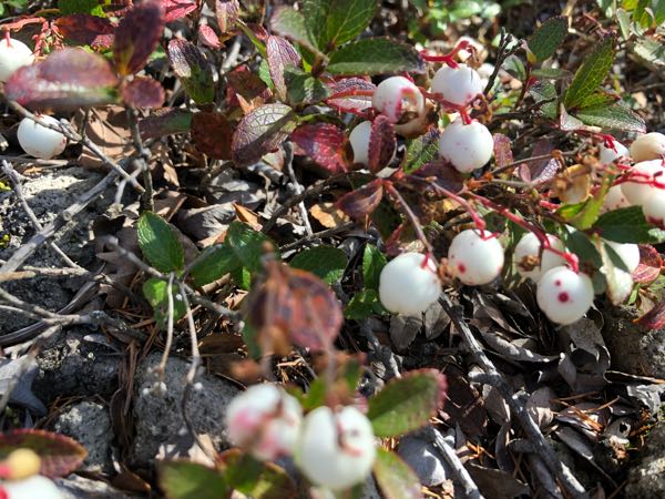 rblog-20181022011802-11.jpg
