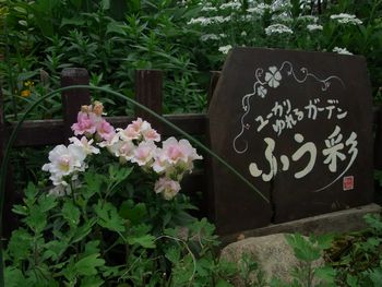 124.JPG